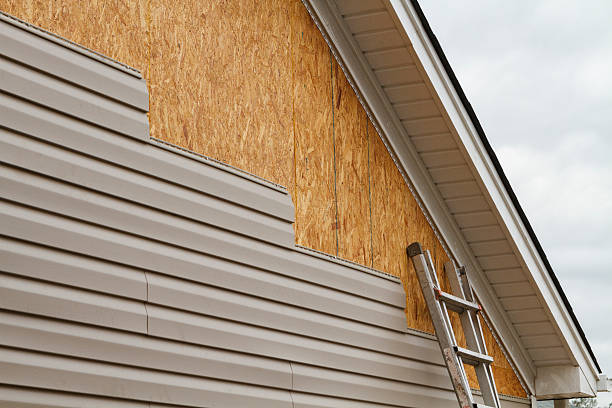 Professional Fiber Cement Siding technician working in Louisa, KY